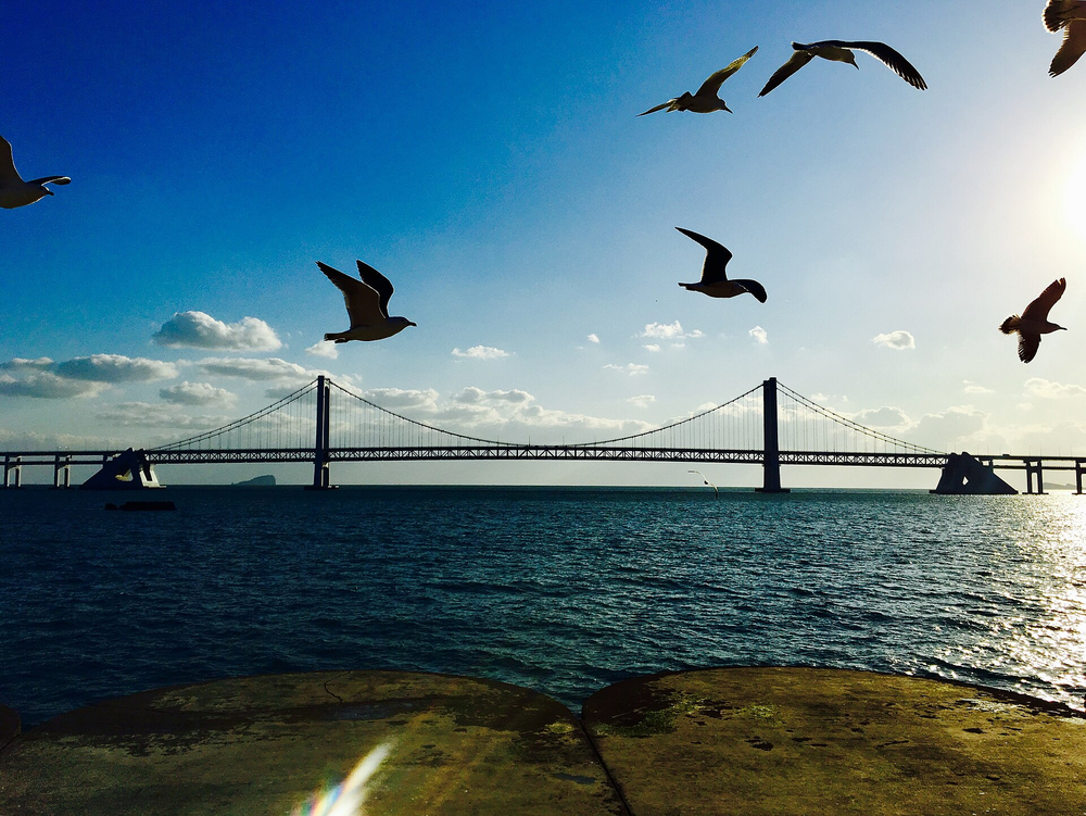 Xinghai Bay Bridge · Dalian